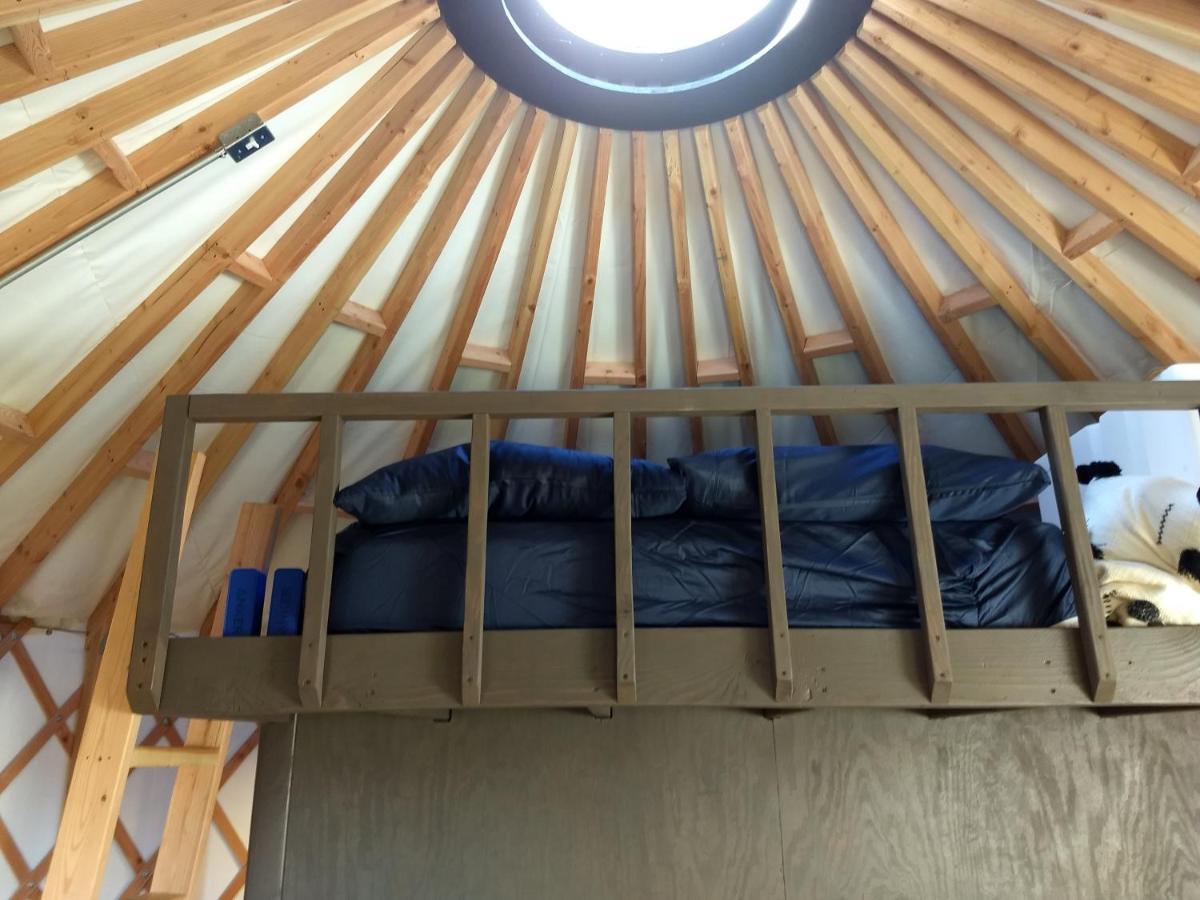 Hotel Livingston Manor Yurt Parksville Exterior foto